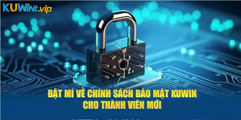 Bí mật về chính sách bảo mật Kuwin